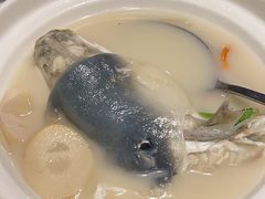 -肆月河豚·新淮扬(金融街店)