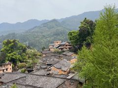 -杨家堂村