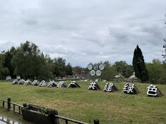 -盐城丹顶鹤湿地生态旅游区