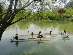 -长兴太湖图影湿地文化园