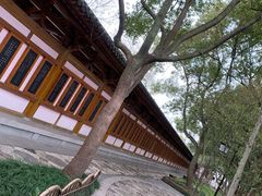 -枫桥景区