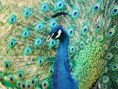 -济南野生动物世界