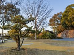 -飞凤山奥体公园