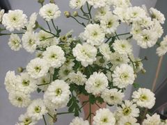 -森野花艺培训·企业团建活动沙龙