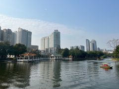 -荔湾湖公园
