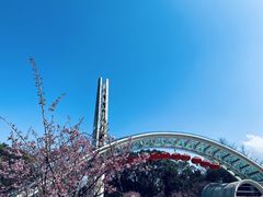 -南山植物园