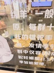 -卡通尼乐园(武商MALL·世贸店)