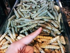 -昆虫窝子·特色云南菜(拓东路总店)