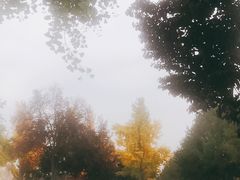 -大雁塔北广场音乐喷泉
