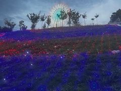 -都江堰玫瑰花溪谷