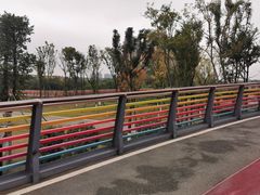 -府河摄影公园