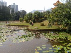 -四海公园(南山区)