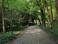-石门洞景区