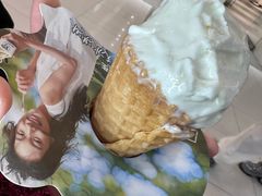 -野人先生Gelato(上海长宁龙之梦店)