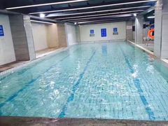 -金吉鸟健身游泳