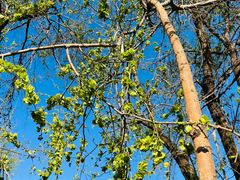 -青州市云门山风景区