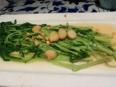 -绿茶餐厅(布吉万象汇店)