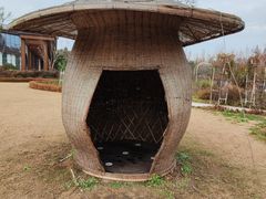 -东平国家森林公园