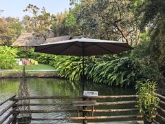 -大象粑粑造纸公园