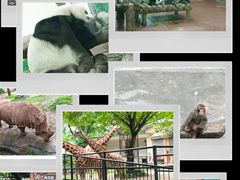 -广州动物园