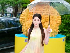 -坂田天虹