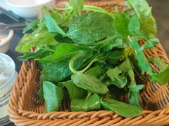 -滇福记天麻竹荪鸡火锅