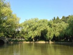 -瀛洲公园