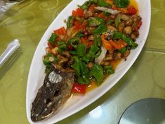 -煲来饱去冷水鱼