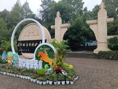 -大奇山国家森林公园