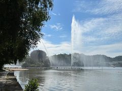 -东莞市虎英郊野公园