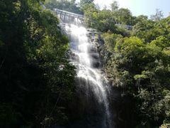 -九龙江国家森林公园