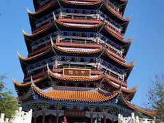 -铁山坪森林公园