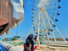 -秦皇岛乐岛海洋王国