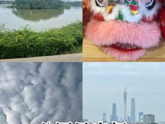 -海珠湖公园