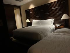 -海南清水湾莱佛士酒店