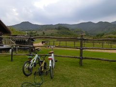 -莫干山郡安里度假酒店-桃尖中餐厅