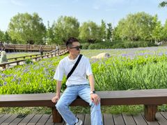 -汉长安城未央宫国家考古遗址公园