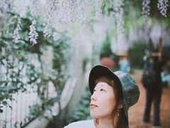 -嘉定紫藤园