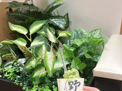 -懒人盐府人家(安贞店)