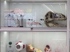 -斯坦星球AI编程·机器人科创·乐高科学·信奥·思维·专注力·STEM·竞赛考级(高新区绿宝广场龙湖狮山天街学习中心)