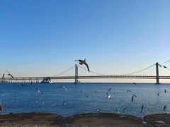 -星海广场