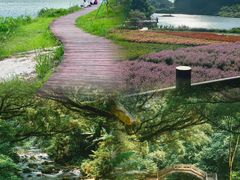 -广州市石门国家森林公园