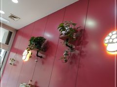 -蘑菇餐厅(小火瓦巷店)