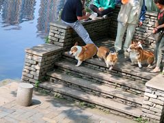 -重庆彩云湖湿地公园