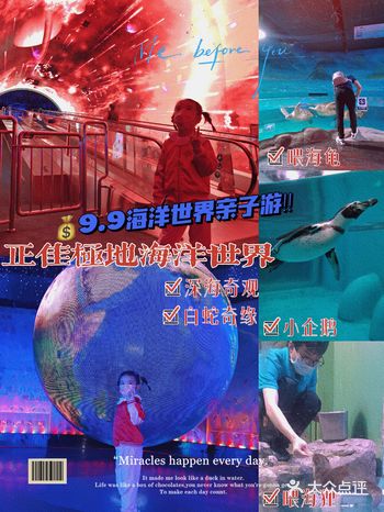 9.9玩转价值200+的海洋世界️