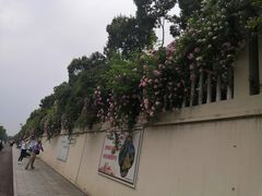 -荣昌花园