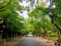 -八大关景区