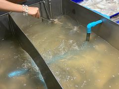 -芭提雅Amporn Seafood自助餐厅