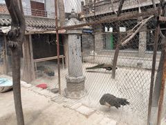 -罔极寺