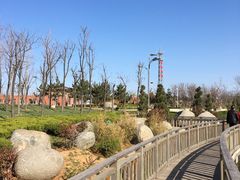 -羊亭河湿地公园